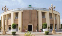 312062181_478556117638180_1735447516599327687_n