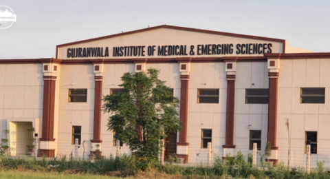 Gujranwala-Institue-of-Medical-and-Emerging-Sciences